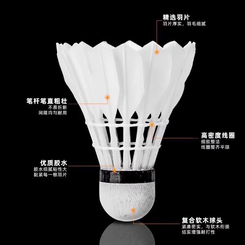 Lion Badminton Shuttlecock Gan - Feather Shuttlecock recensie en prijs