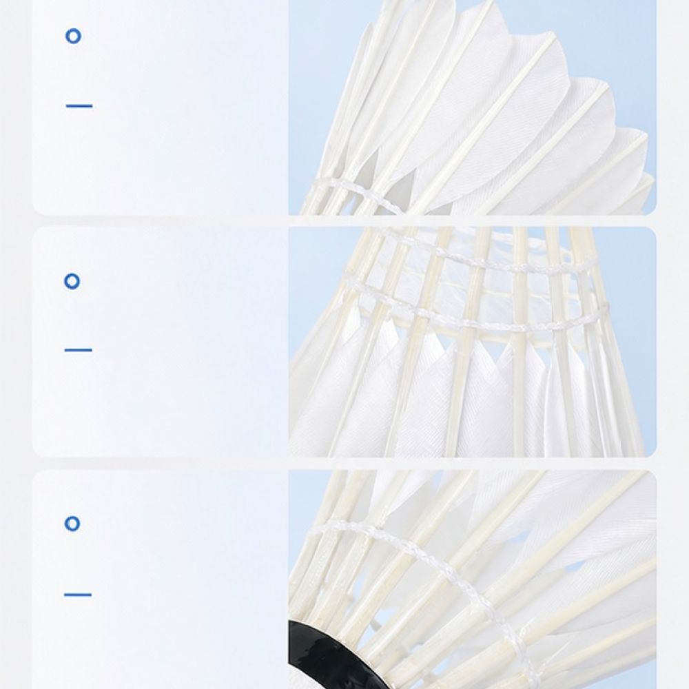 Professionele badmintonbal van - Feather Shuttlecock recensie en prijs