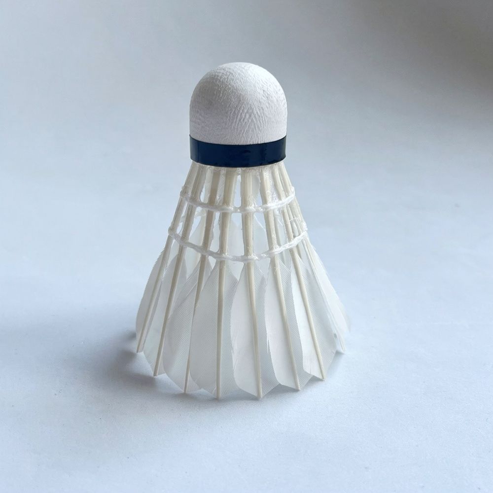 Professionele badmintonbal van - Feather Shuttlecock recensie en prijs