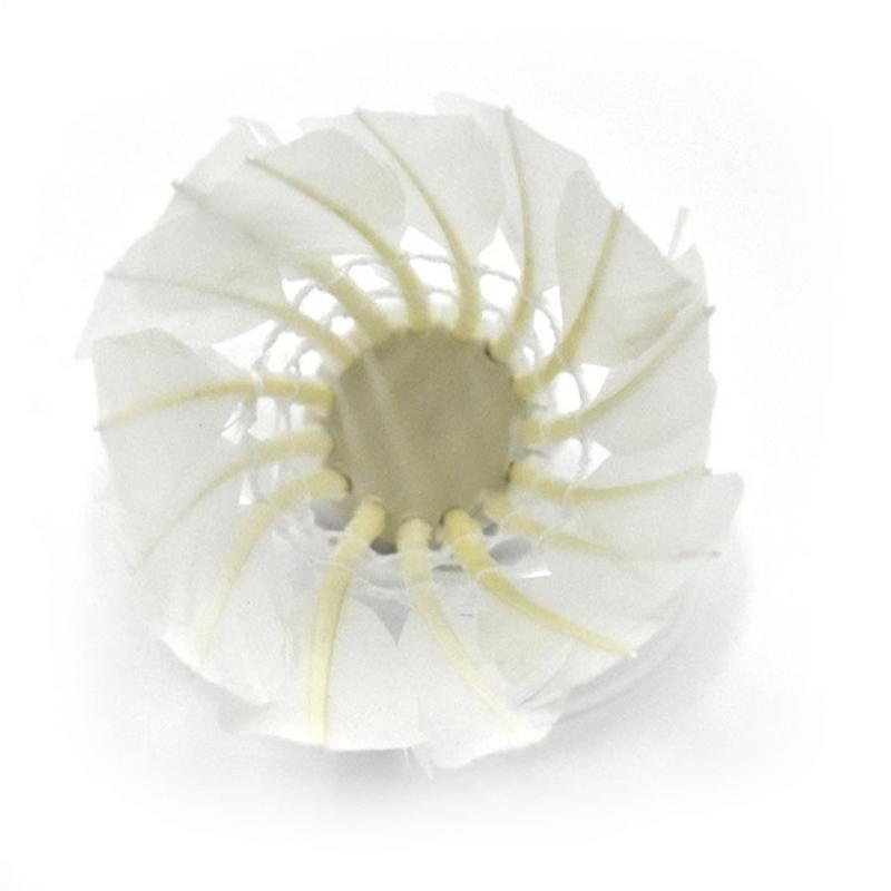 12PC Duurzame Badminton Shuttl - Feather Shuttlecock recensie en prijs